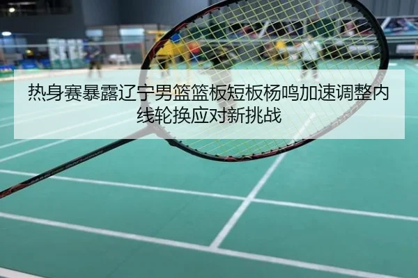 热身赛暴露辽宁男篮篮板短板杨鸣加速调整内线轮换应对新挑战